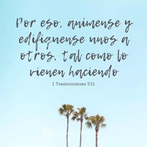 1_Tesalonicenses_5_11_animo-700x700