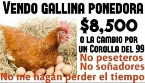 FB_IMG_1667062540518