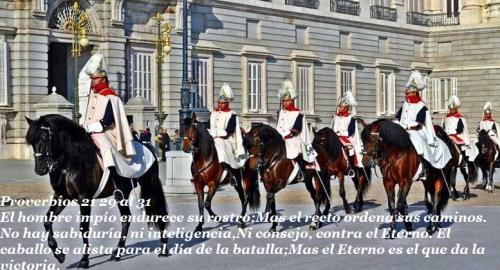 CABALLERIAGUARDIAREAL-777x421