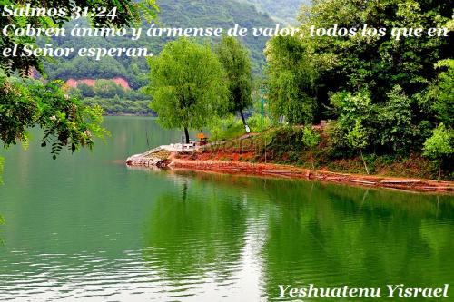 8033.jpg_wh860