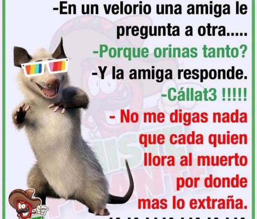 FB_IMG_1665791078129