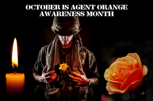 AgentOrangeMonth