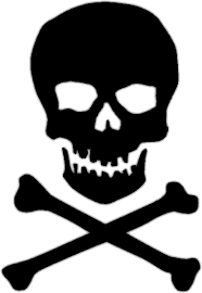Skull pic
