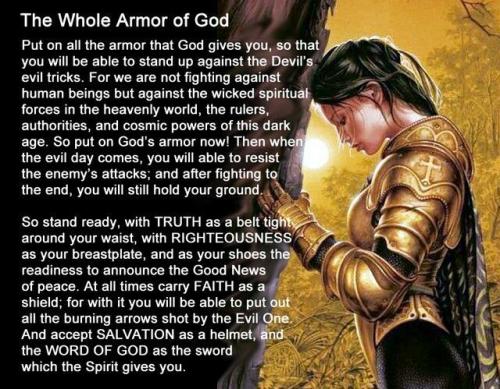 e5f37902698e5b6e0574722a3583c454--woman-warrior-armours