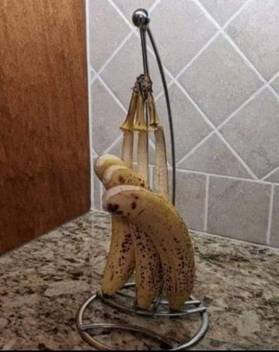 FB_IMG_1669001627641
