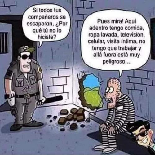FB_IMG_1668279343948
