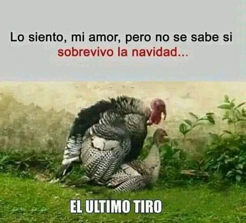 FB_IMG_1669326843571