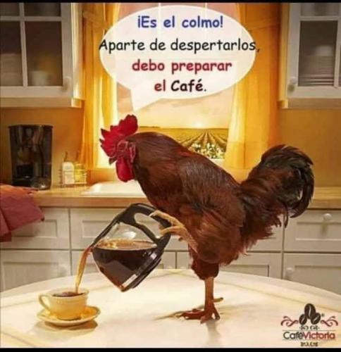 FB_IMG_1669644966124
