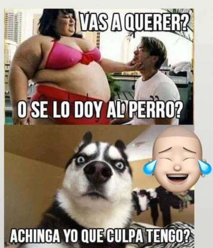 FB_IMG_1668889950024
