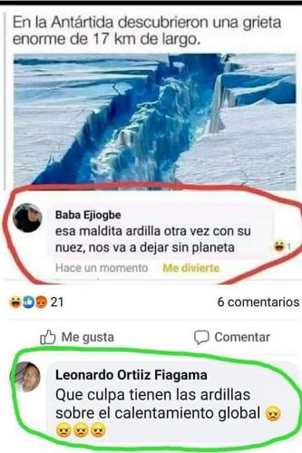 FB_IMG_1669674104168