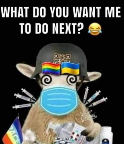 Fk_SDu8XkAU3sDH