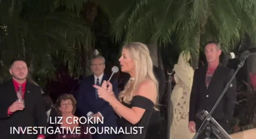 Liz Crokin