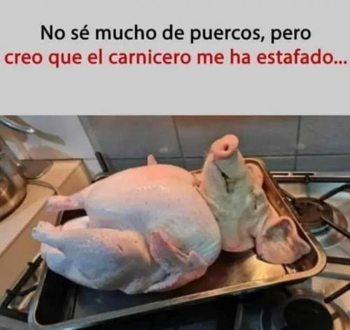 FB_IMG_1672271575513