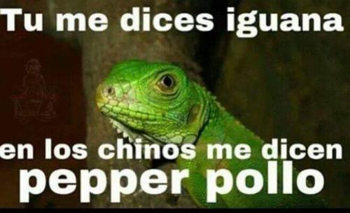 FB_IMG_1670507193429~2