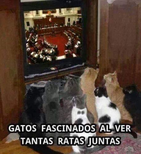 FB_IMG_1672792731138