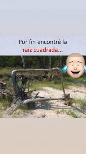 FB_IMG_1673041924776