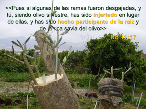 cuidemonos de las falsas doctrinas
