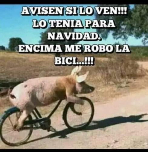 FB_IMG_1675141727494