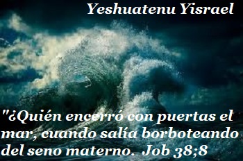 Job 38 8