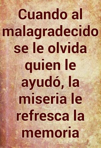 FB_IMG_1672792208872