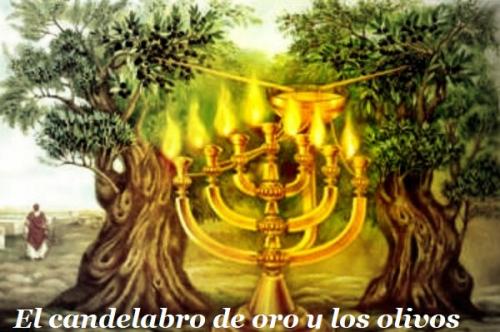 dos olivos a