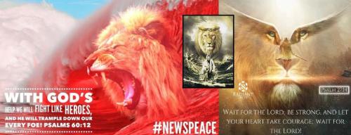 lion 3