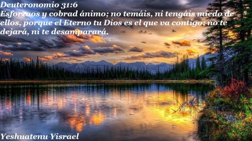 Deuteronomios 31 6