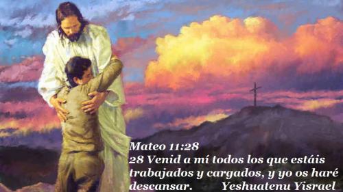 Mateo 11 28