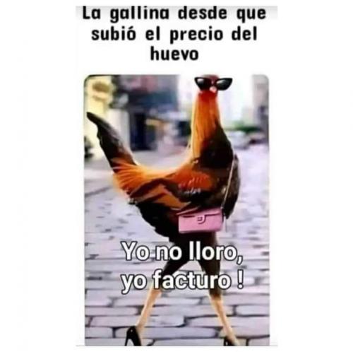 FB_IMG_1675549823681