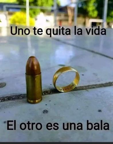 FB_IMG_1678670333260