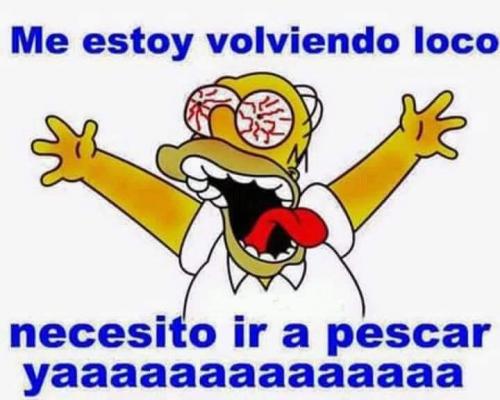FB_IMG_1678627141438