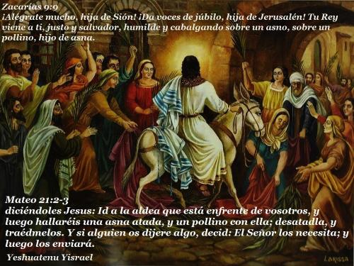 entrada triunfal de Jesus Beraja Bendicion