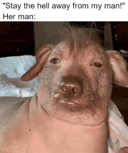herman