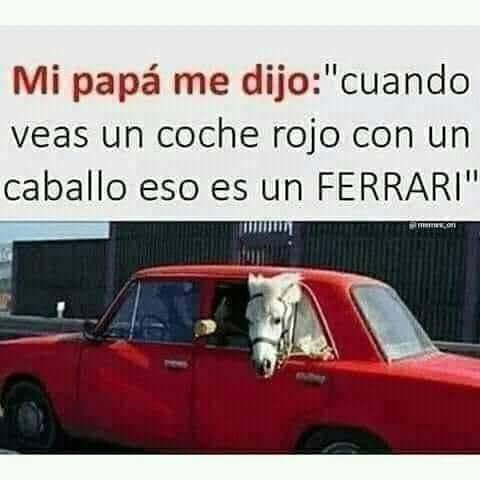 FB_IMG_1679742501732