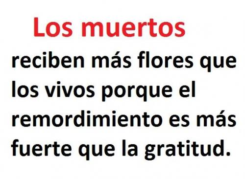 FB_IMG_1677090549396