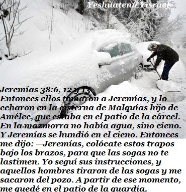 cubierto de nieve