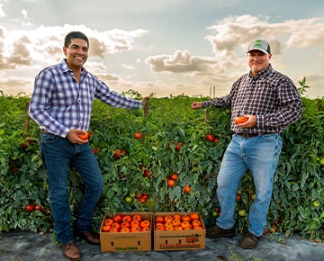 Javier Tomato Thyme Florida