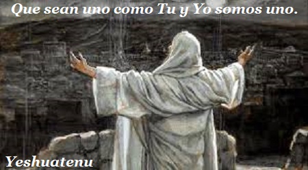 images (1)
