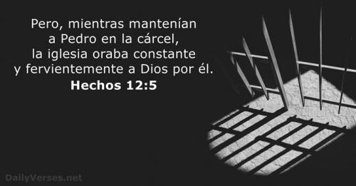 hechos-12-5-2