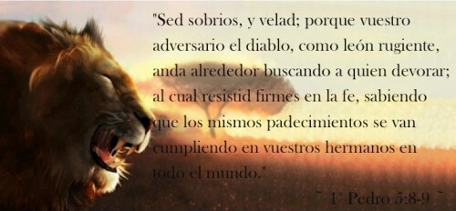sed-sobrios