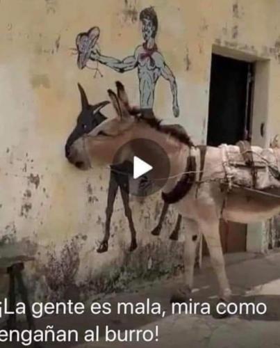FB_IMG_1680647083633