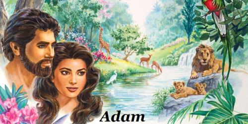 7 Adam