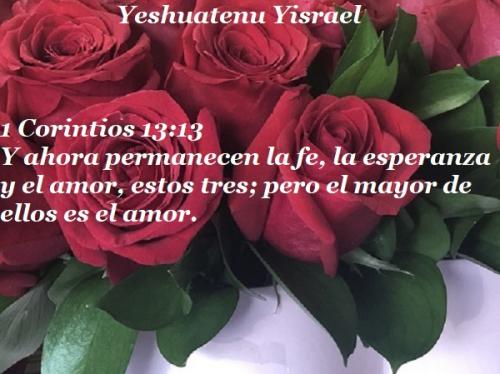 rosas-rojas