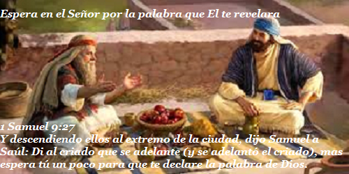cumple tu ministerio