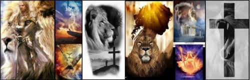 lion 1