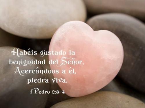 Bendecidos, perdonados