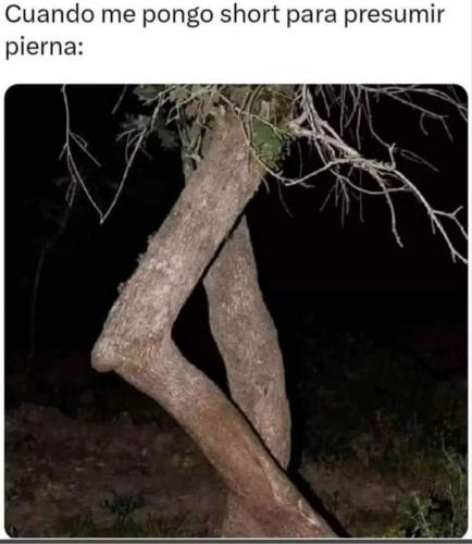 FB_IMG_1685008842874