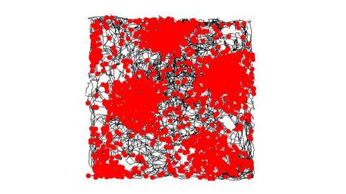 aaabrainscomplexity_1000x563