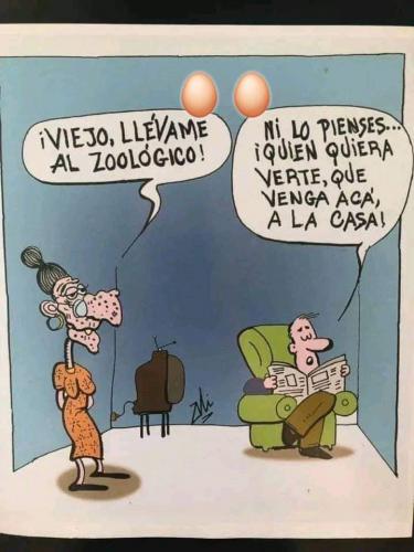 FB_IMG_1686253222383