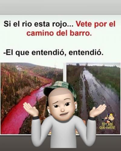 FB_IMG_1686962897366